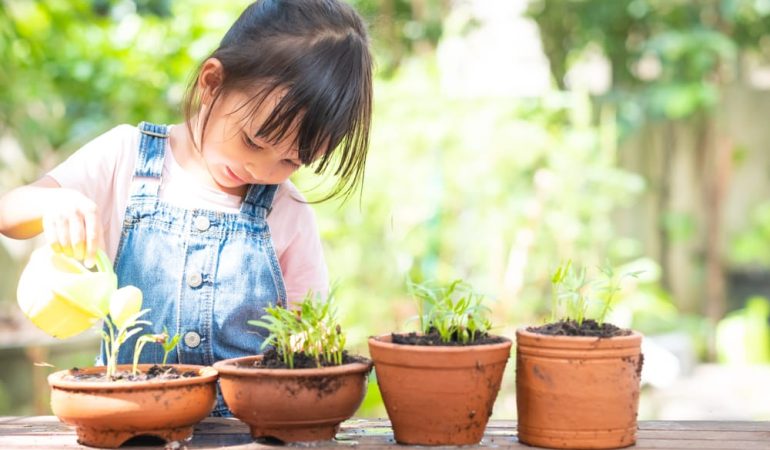 The Importance of Teaching Your Child to Use Eco-friendly Products