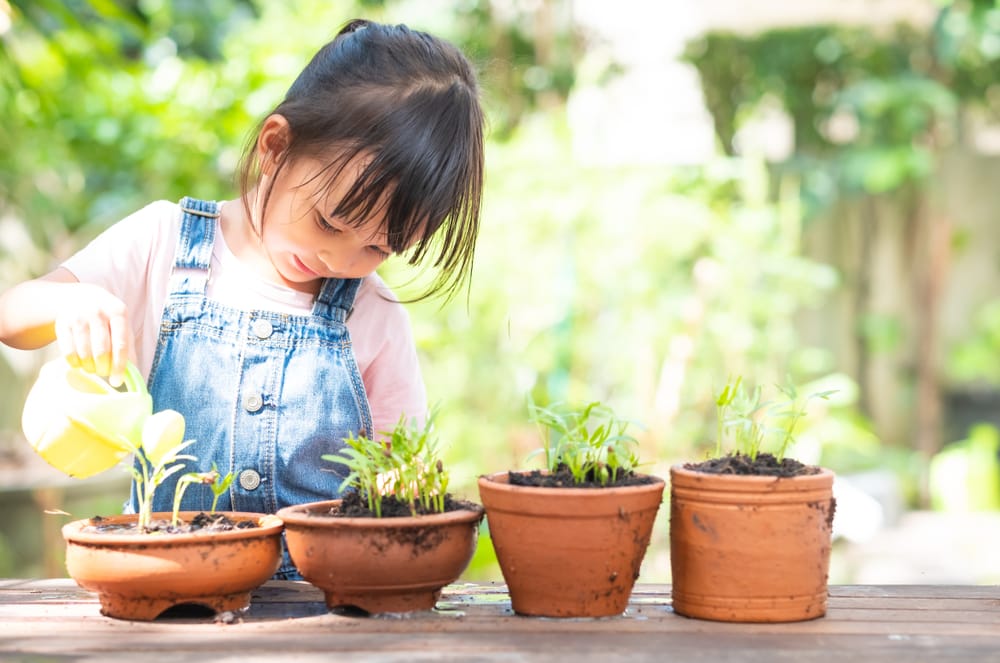 Teaching your child to use eco-friendly products in wimbledon