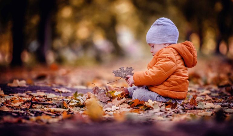 Why Autumn Is the Best Season for Outdoor Learning in the Early Years