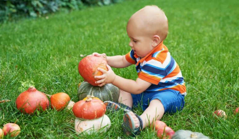 Pumpkin Play: Fun Sensory Activities for Toddlers This October