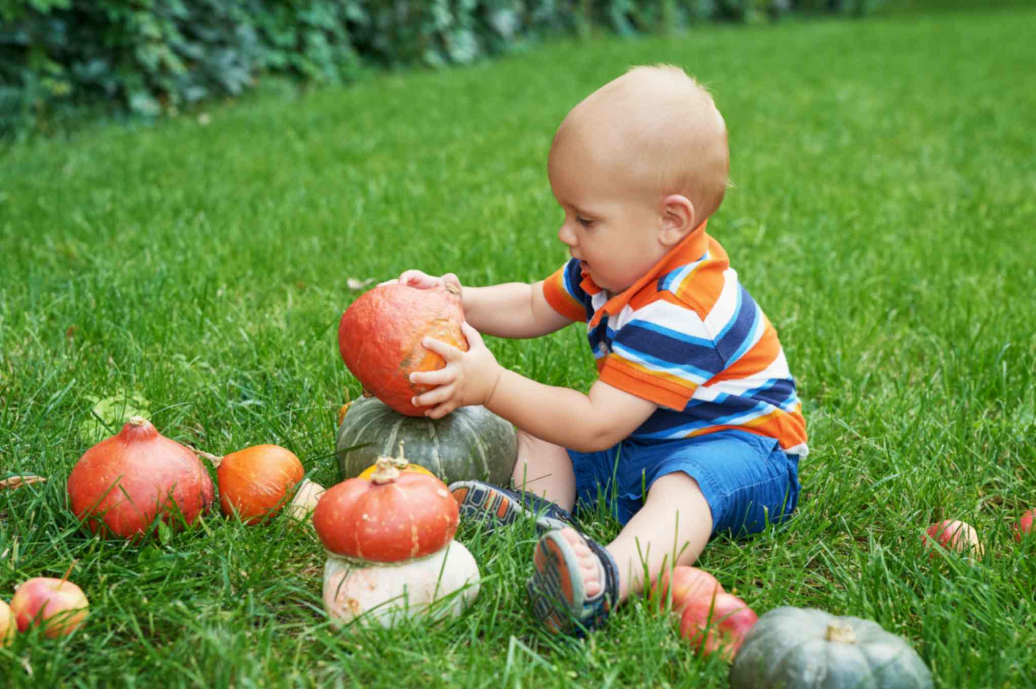 Pumpkin Sensory Activities for Toddlers This October